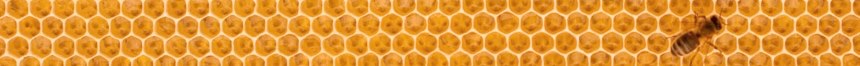 © Andrey Kuzmin - Fotolia.com