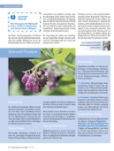 Apothekenzeitschrift Naturheilkunde & Gesundheit